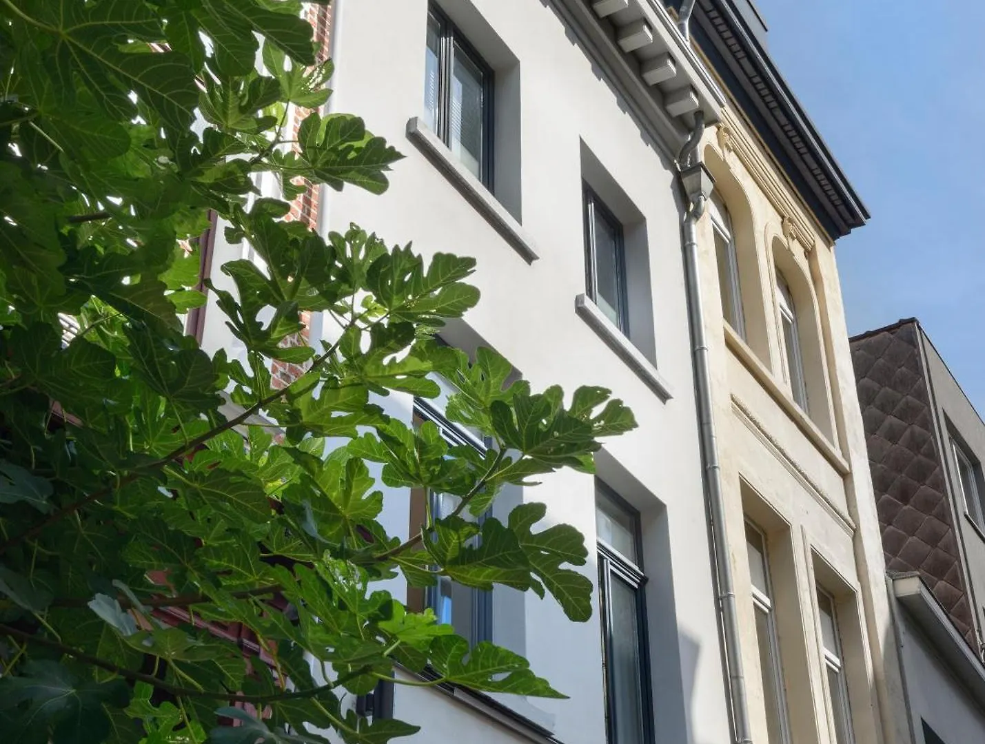 Aparthotel R73 Apartments By Domani Hotels Antverpy Belgie